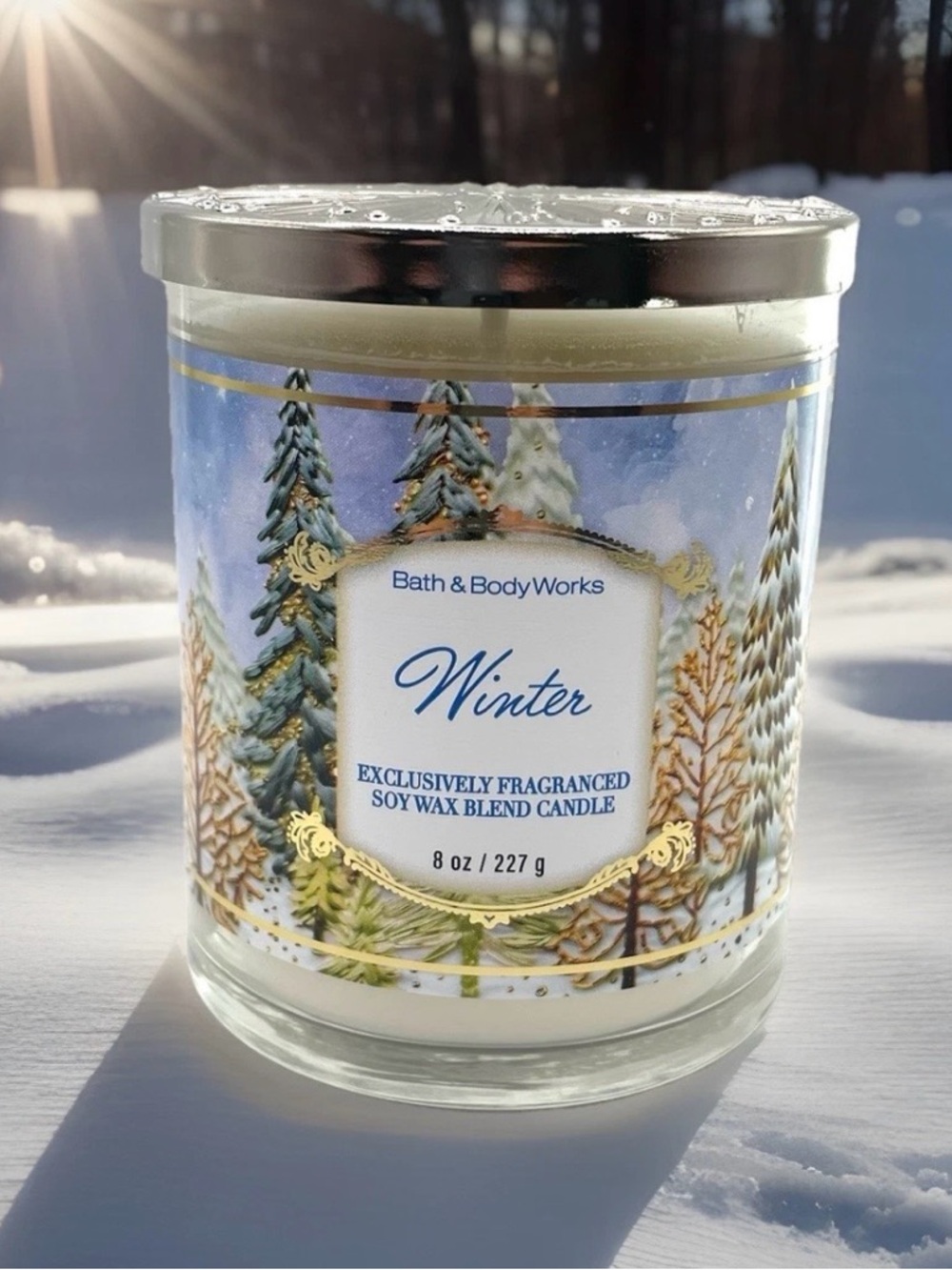 Bath & Body Works Single Wick Candle- Winter (8oz)